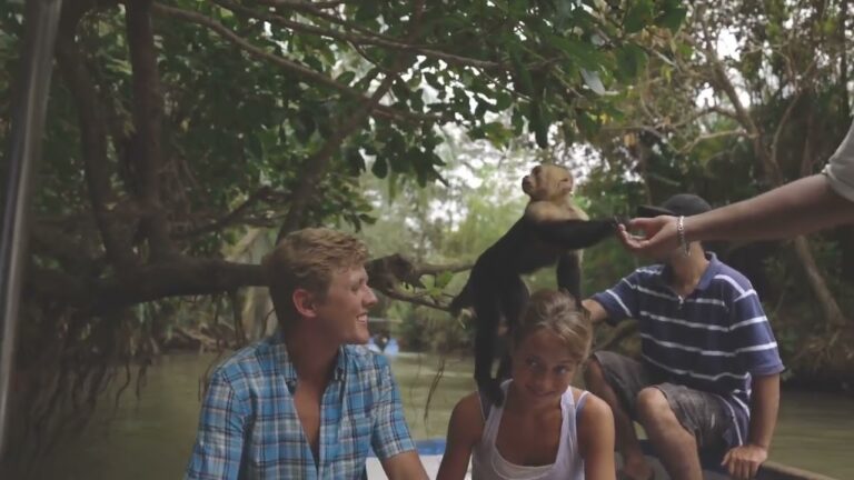 Discover the Wild Wonders of Monkey Island || Best Travel Destinations Around the Globe